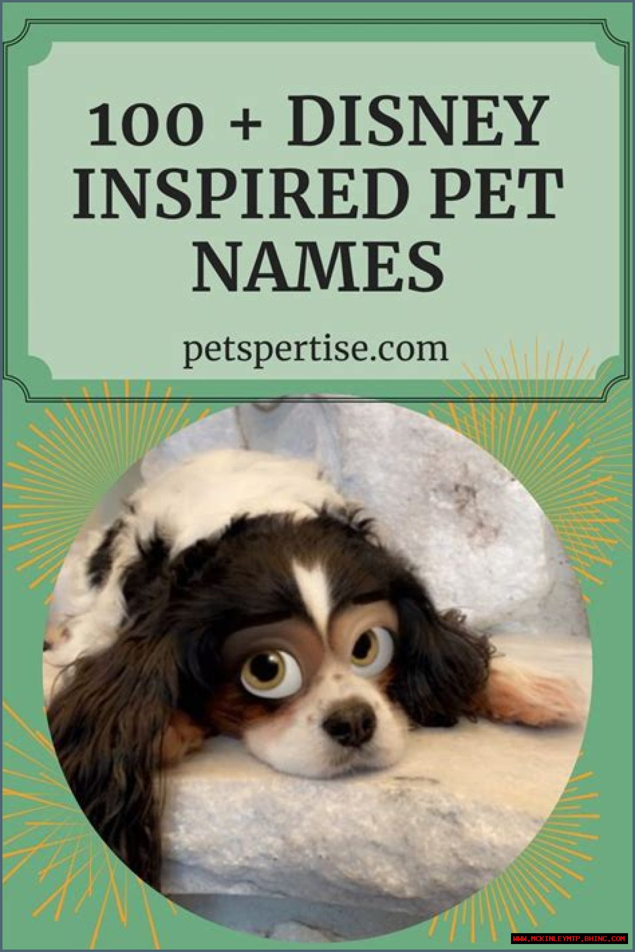 Creative Kitten Names Inspired By Disney's The Aristocats