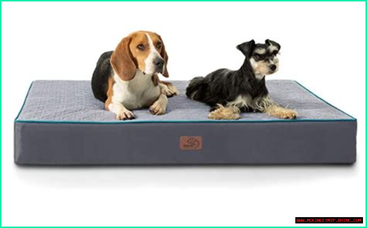 Finding The Comfort: The Best Cooling Orthopedic Dog Bed